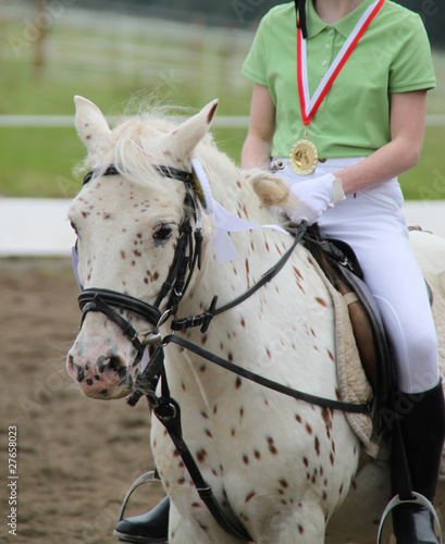 Foto: Pferd (Apfelschimmel) und Reiterin beim Reitturnier Pferd (Apfelschimmel) und Reiterin beim Reitturnier