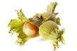 Three hazelnuts