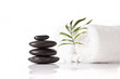 Wellness Hot Stones