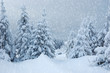 Winter landscape in mountains