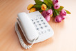 Romantic concept with phone and tulip flowers Romantic concept with phone and tulip flowers