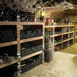 wine cellar, Czech Republic