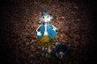 Gartendekoration im Herbst