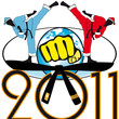 Martial arts in New Year 2011. Figters in red, blue kimono
