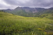 Pirineos