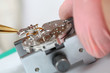 detail from watchmakers workshop