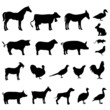 20 silhouettes mixtes des animaux de la ferme