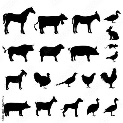 Vektor: 20 silhouettes mixtes des animaux de la ferme 20 silhouettes mixtes des animaux de la ferme