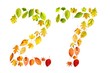 foliage 27
