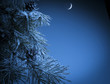 Christmas night Christmas night