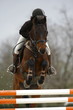 Image : Equitation
