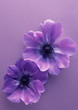 flower flower