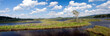 Marsh