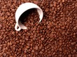Coffee cup in coffee beans