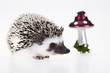 Autumnal animal