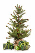 Little Christmas tree with gifts on white