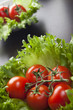 tomato salad