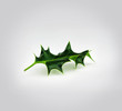 Holly leaf