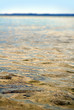 sea background