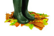Green boots on leaves