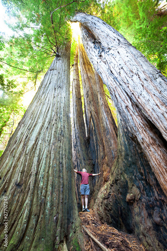 Photo: Sequoya Sequoya