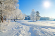 Winter park in snow Winter park in snow