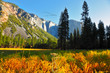 The Yosemite park above which the bird's flight flies by