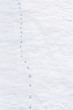 footprints in the snow