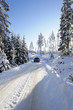 suv, car, driving in snowy conditions
