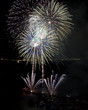 Flower shaped fireworks