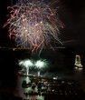 Flower shaped fireworks