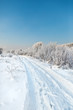 winter road winter road