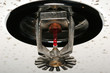 Fire Sprinkler Head