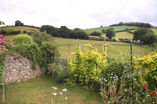 Photo: Garden Garden