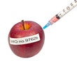 genetically modified organism