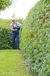 Foto: Gartenarbeit, Mann schneidet Hecke Gartenarbeit, Mann schneidet Hecke