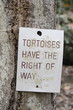 Wegweiser für Schildkröten