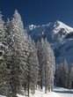 WINTER BERG LANDSCHAFT