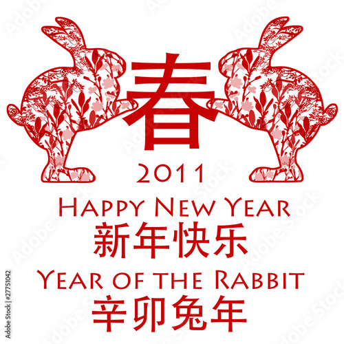 pictures of rabbits for chinese new year. Chinese New Year Rabbits 2011 Holding Spring Symbol