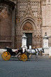 Tête de taxis à Seville