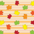 fall leaves background