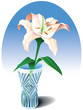 Tender creamy lily in the crystal vase, vector illustration Tender creamy lily in the crystal vase, vector illustration