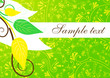 text card