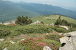 Massif de Madres,Pyrénées audoises Massif de Madres,Pyrénées audoises