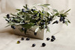 olio olive