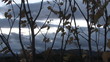 Mellow autumn, leaf fall