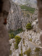 Durchblick auf der Burg