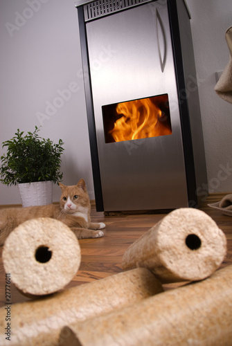 Foto: wohnzimmer mit katze vor brennendem dänischen ofen und brickets wohnzimmer mit katze vor brennendem dänischen ofen und brickets