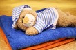 Kuschelteddy