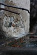 Fontanella di montagna